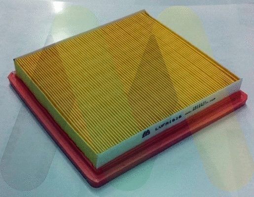 Air Filter (LVFA1616)