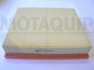 Air Filter (VFA1226)