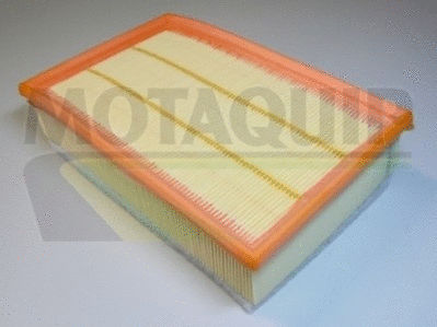 Air Filter (VFA1044)