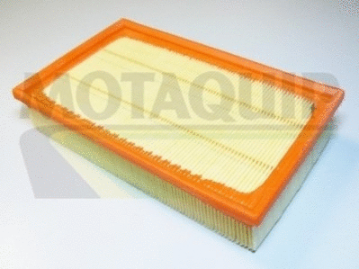Air Filter (VFA1019)