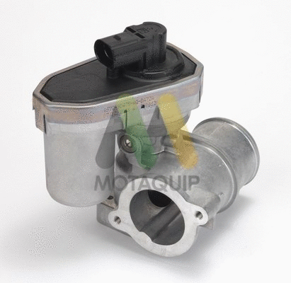 EGR Valve (LVER111)
