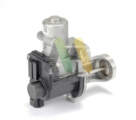 EGR Valve (LVER200)