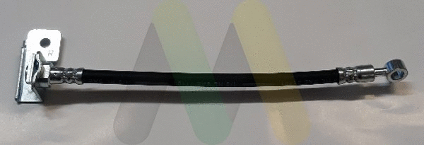 Brake Hose (LVBH1756)