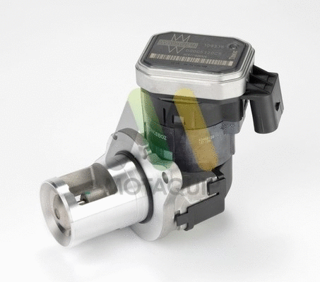 EGR Valve (LVER262)