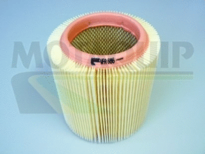 Air Filter (VFA686)