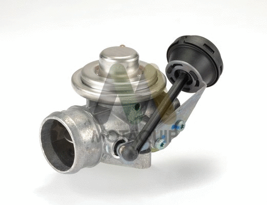EGR Valve (LVER359)