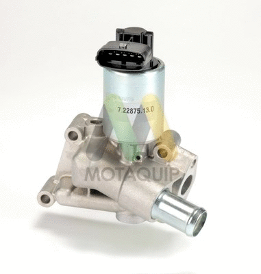 EGR Valve (LVER131)