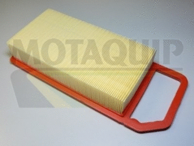 Air Filter (VFA1049)