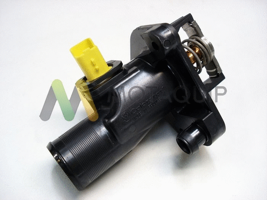 Thermostat, coolant