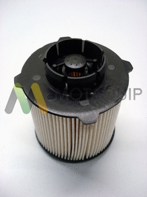 Fuel Filter (LVFF700)