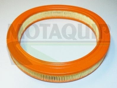 Air Filter (VFA190)