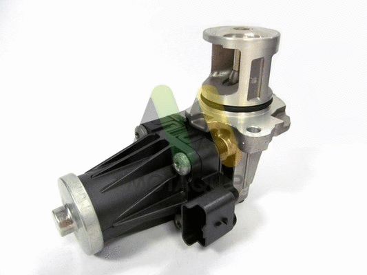 EGR Valve (LVER293)