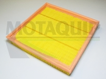 Air Filter (VFA667)