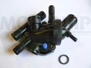 Thermostat, coolant