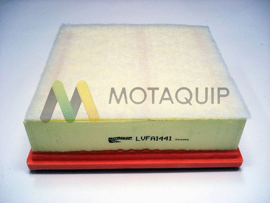 Air Filter (LVFA1441)