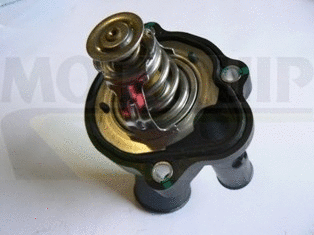 Thermostat, coolant (VTK168)