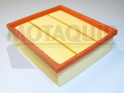 Air Filter (VFA791)