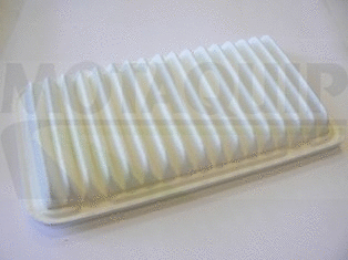 Air Filter (VFA1216)