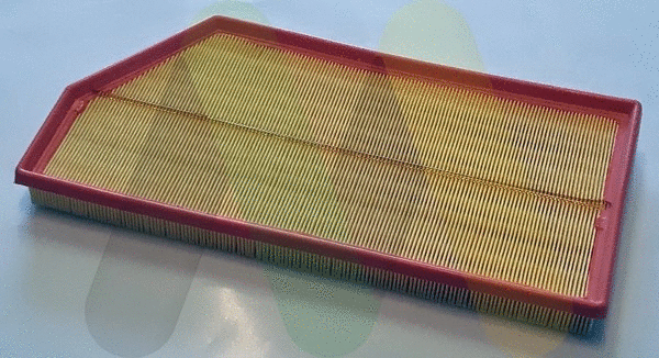 Air Filter (LVFA1662)