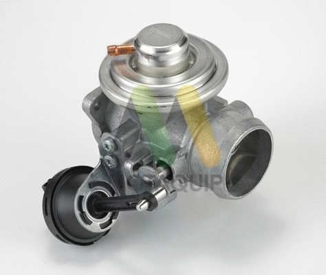 EGR Valve (LVER108)