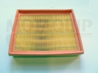 Air Filter (VFA1206)