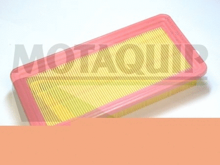 Air Filter (VFA1145)