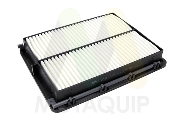 Air Filter (LVFA1719)