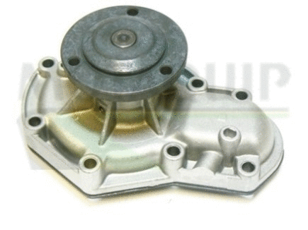 Water Pump, engine cooling (VWP573)