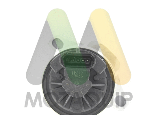 EGR Valve