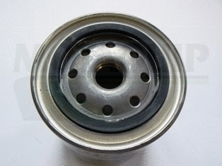 Oil Filter (VFL213)