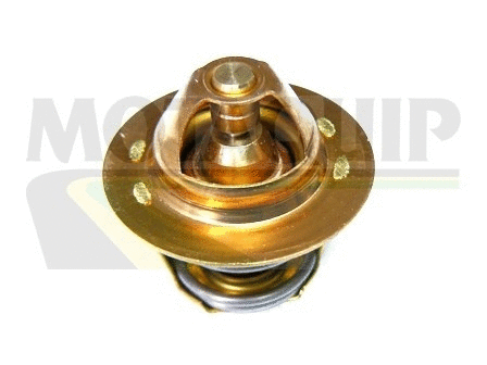Thermostat, coolant (VTS266)
