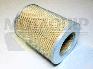 Air Filter (VFA292)
