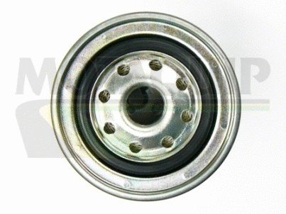 Fuel Filter (VFF234)