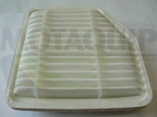 Air Filter (VFA1211)