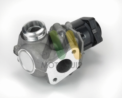 EGR Valve (LVER303)