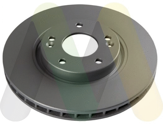 Brake Disc (LVBD1294Z)