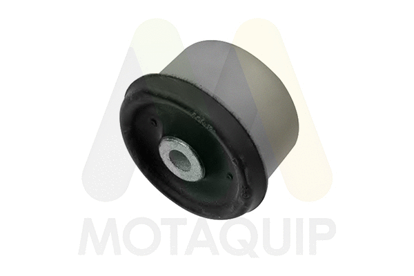 Bushing, axle beam (LVSK1199)