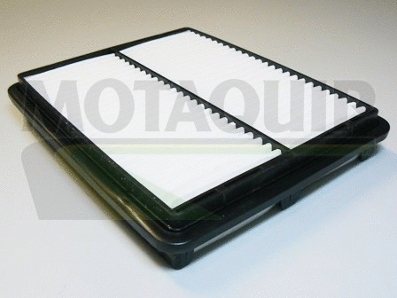 Air Filter (VFA917)