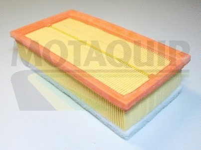 Air Filter (VFA1051)