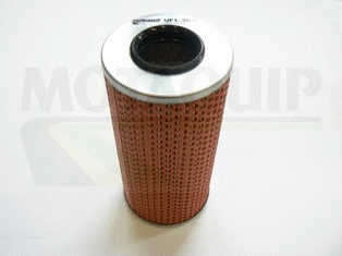 Oil Filter (VFL368)