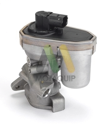 EGR Valve (LVER191)