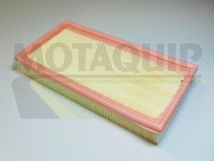 Air Filter (VFA1010)