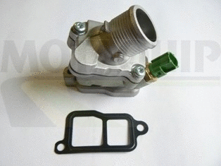 Thermostat, coolant
