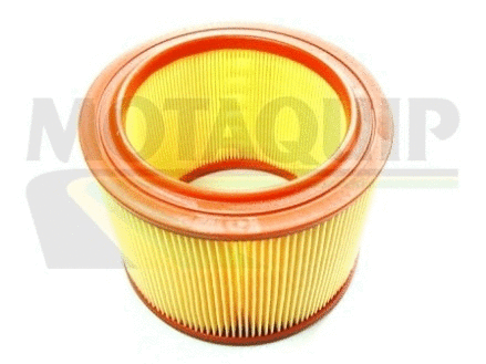 Air Filter (VFA704)