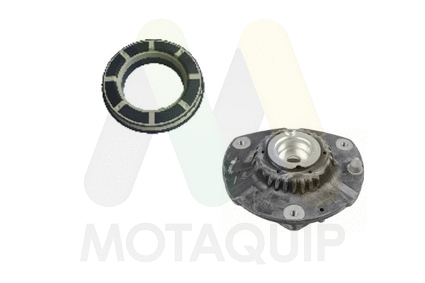 Repair Kit, suspension strut support mount (LVSM1141)