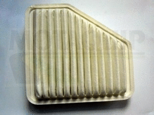 Air Filter (VFA1210)
