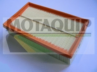 Air Filter (VFA1138)