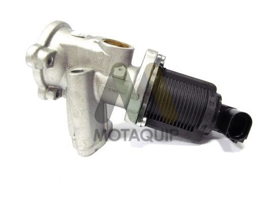 EGR Valve (LVER234)