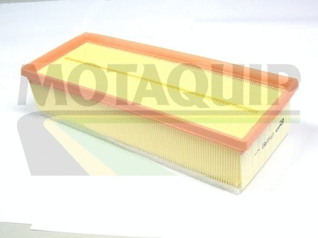 Air Filter (VFA1169)