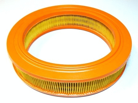Air Filter (VFA551)